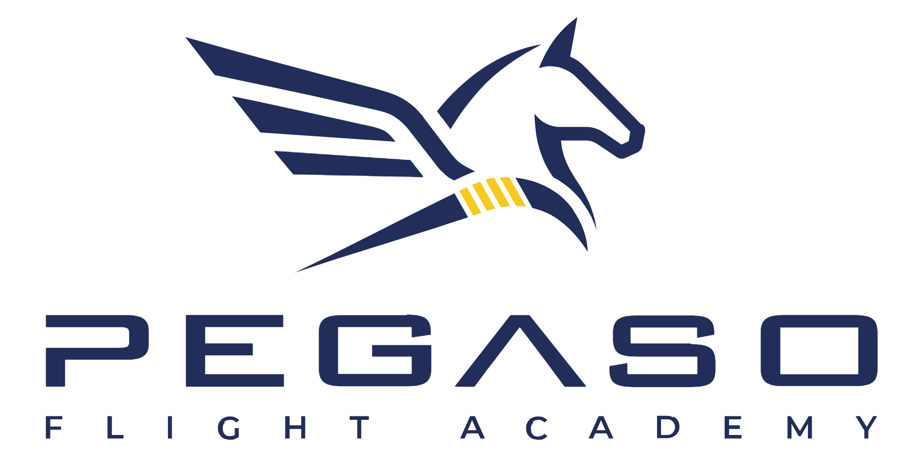 Pegaso Flight Academy